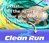 Clean Run