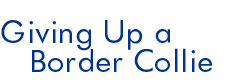 Giving Up a Border Collie